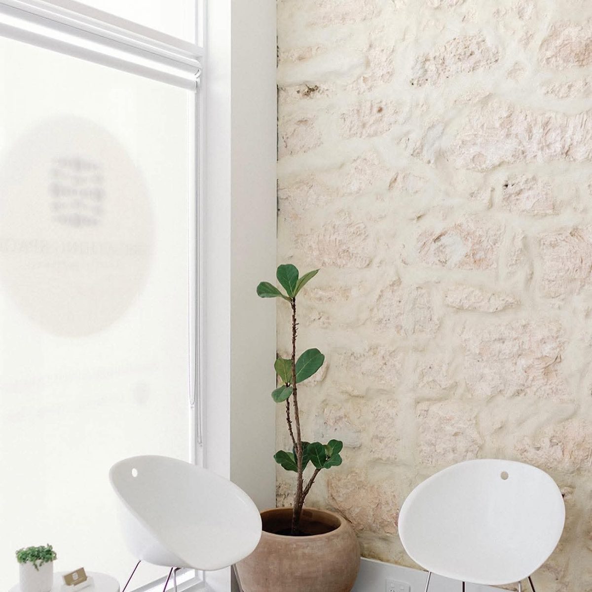 Natural light and plants in the waiting area